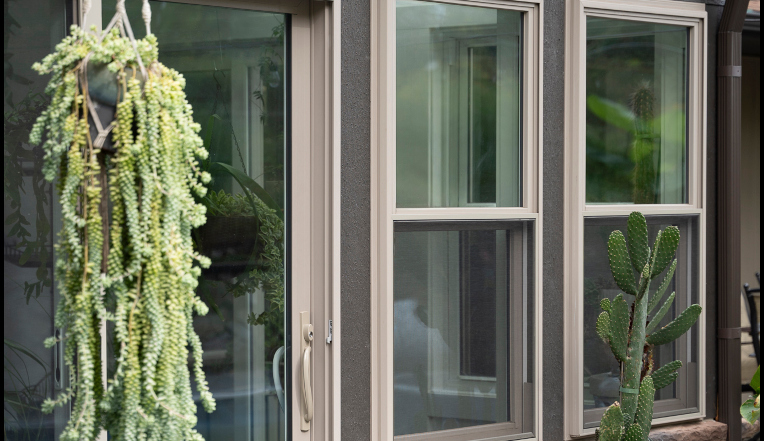 Windows and other external services.